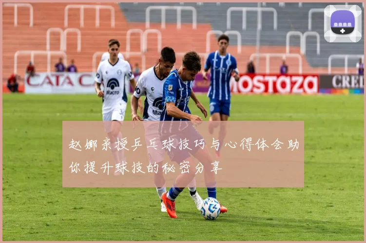 赵娜亲授乒乓球技巧与心得体会助你提升球技的秘密分享