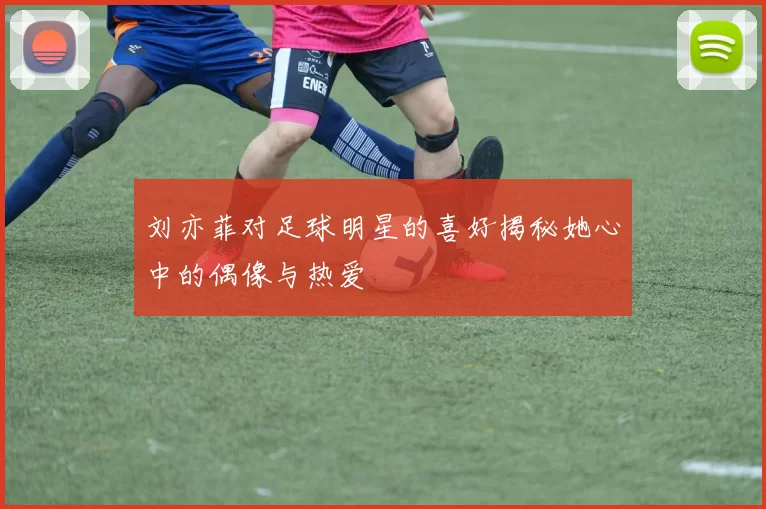 刘亦菲对足球明星的喜好揭秘她心中的偶像与热爱