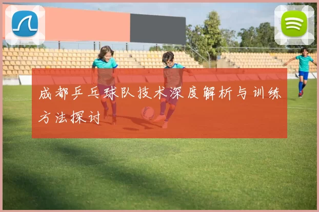 成都乒乓球队技术深度解析与训练方法探讨