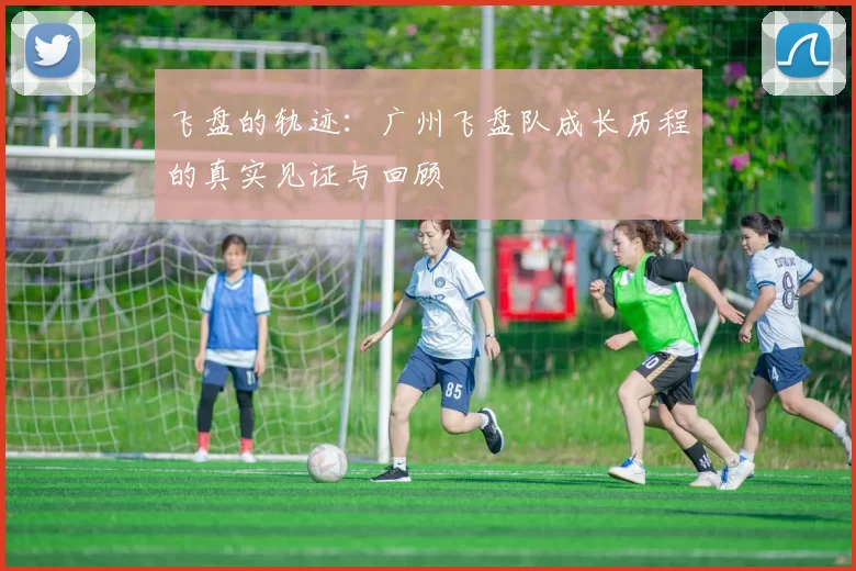 飞盘的轨迹：广州飞盘队成长历程的真实见证与回顾