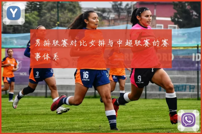 男排联赛对比女排与中超联赛的赛事体系
