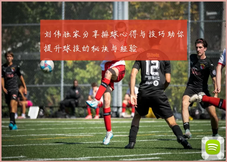 刘伟独家分享排球心得与技巧助你提升球技的秘诀与经验