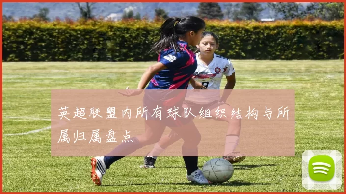 英超联盟内所有球队组织结构与所属归属盘点