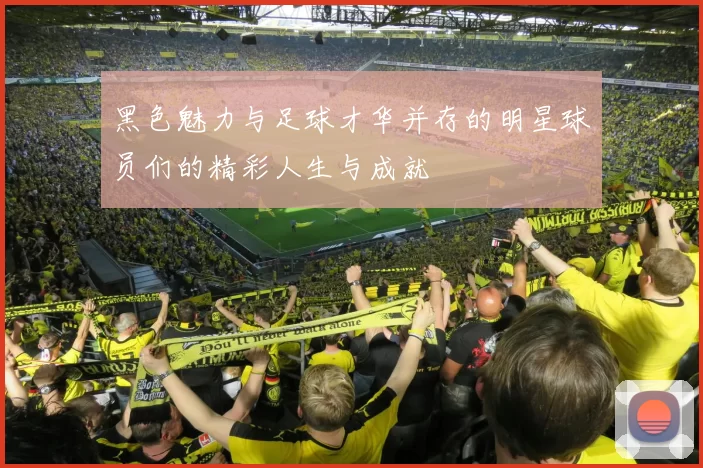 黑色魅力与足球才华并存的明星球员们的精彩人生与成就