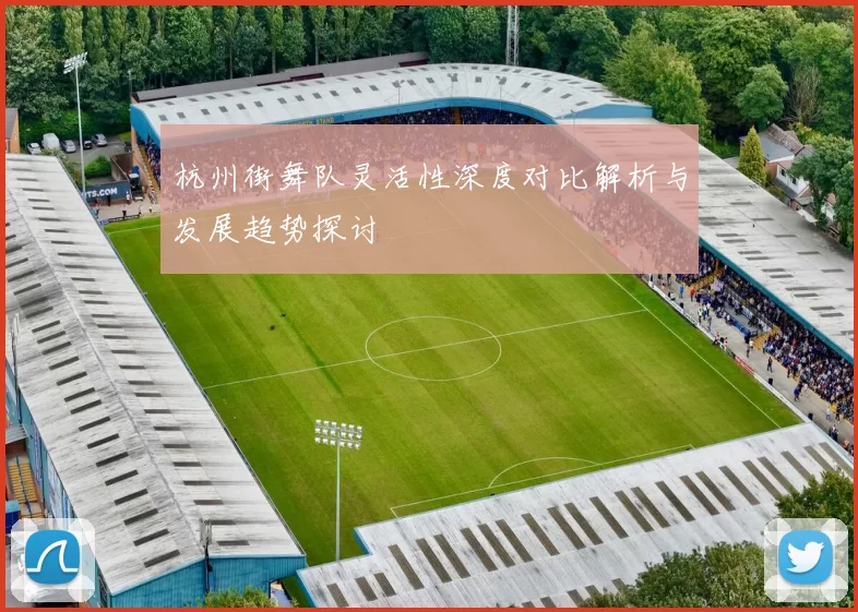 杭州街舞队灵活性深度对比解析与发展趋势探讨
