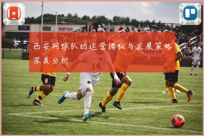西安网球队的运营揭秘与发展策略深度分析